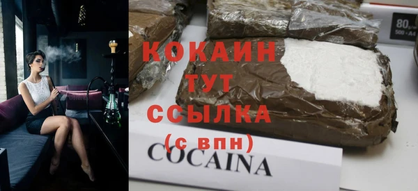 молекула духа Горняк